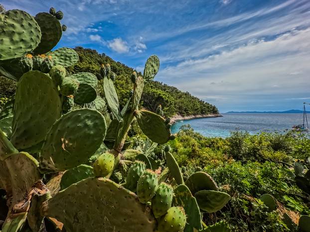Uvala Pupnatska Luka na otoku Korčuli