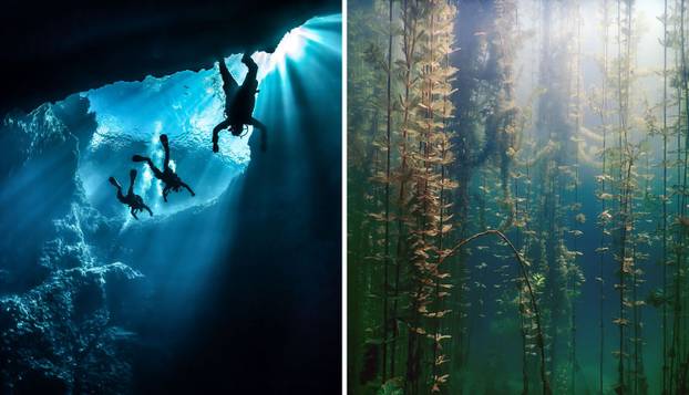 FOTO Tvrdi da je putnik kroz vrijeme: 'Čudovišta prijete, rat se sprema, stižu vanzemaljci...'