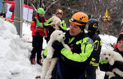 "Ovo daje nadu":  Pronašli tri štenca pod ruševinama hotela