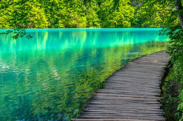 Pond at Plitvice Lakes