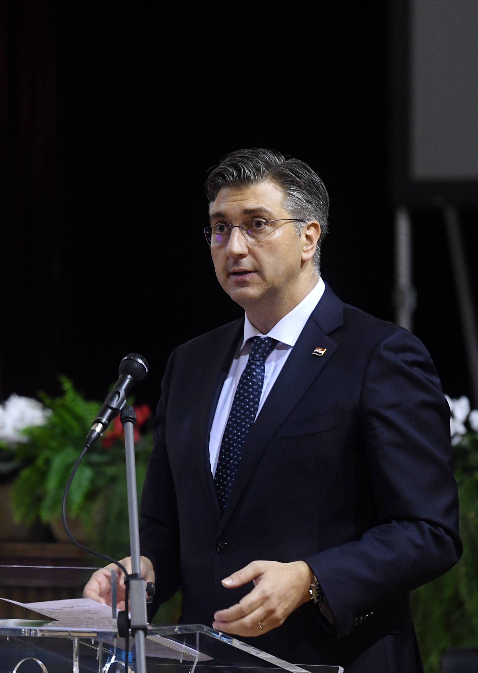 Plenković uz jedinstvo stranke siguran u pobjedu na izborima