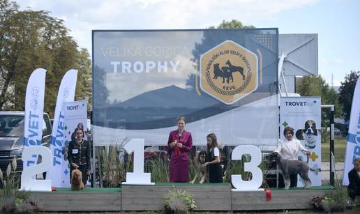 FOTO Vau, preslatki su! Psi iz 18 zemalja natjecali se za titulu najljepšeg u Velikoj Gorici