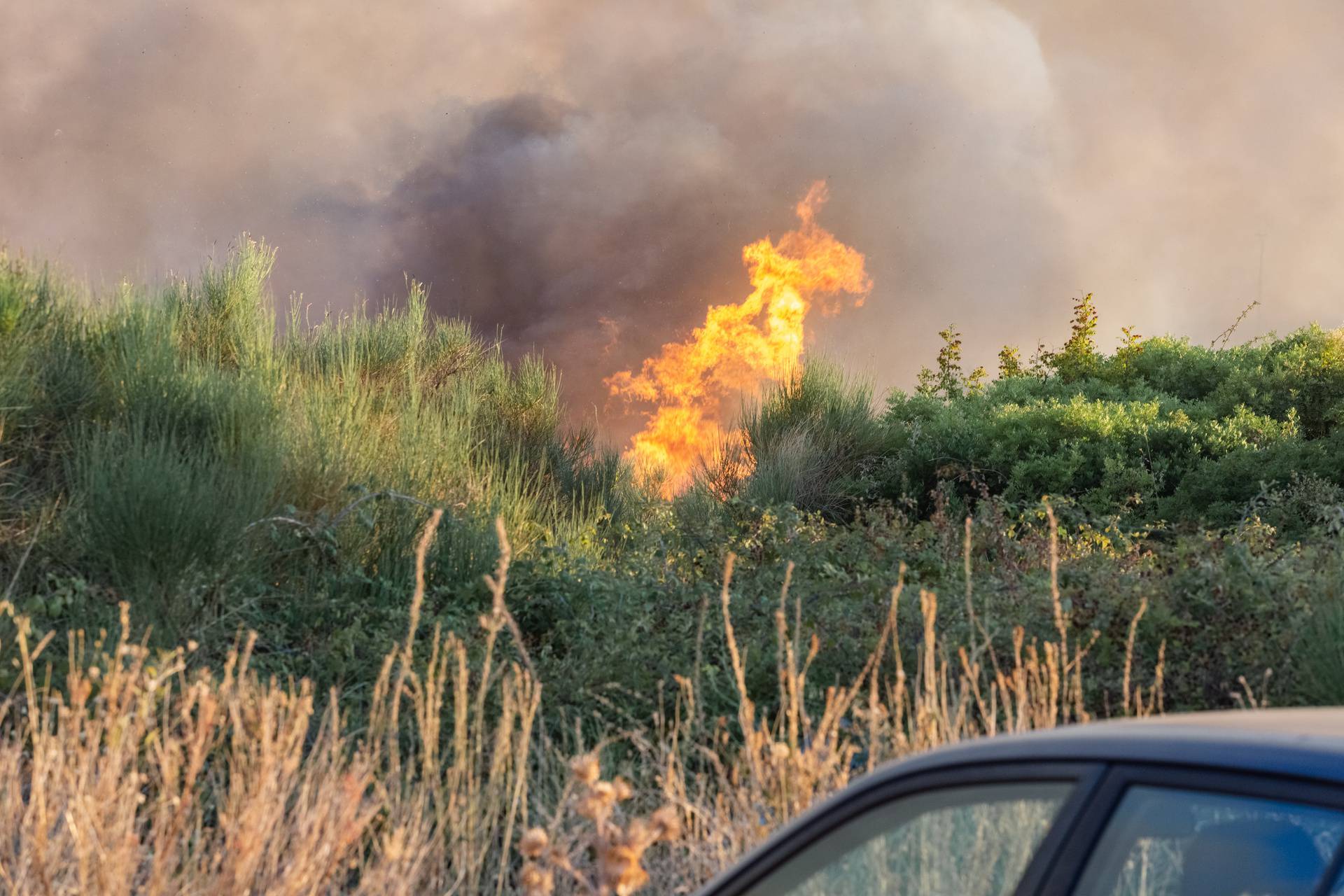 Požar u Gaženici u blizini trajektne luke