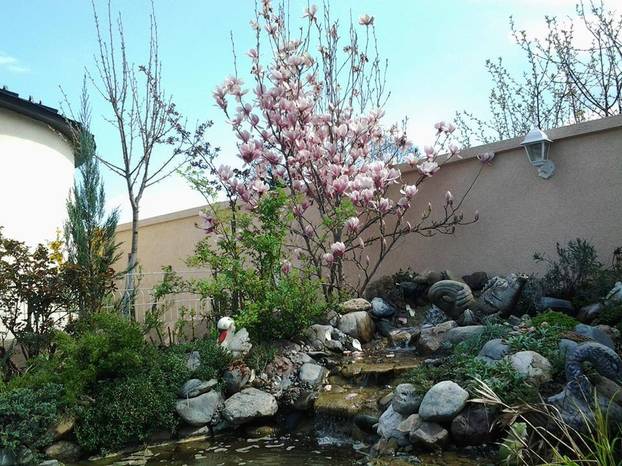 FOTO Najljepša dvorišta i kućni vrtovi - pronađite inspiraciju za vlastitu biljnu oazu