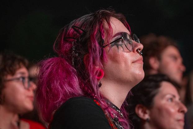 Zagreb: Massive Attack nastupio je na zadnjem danu 17. INMusic festivala