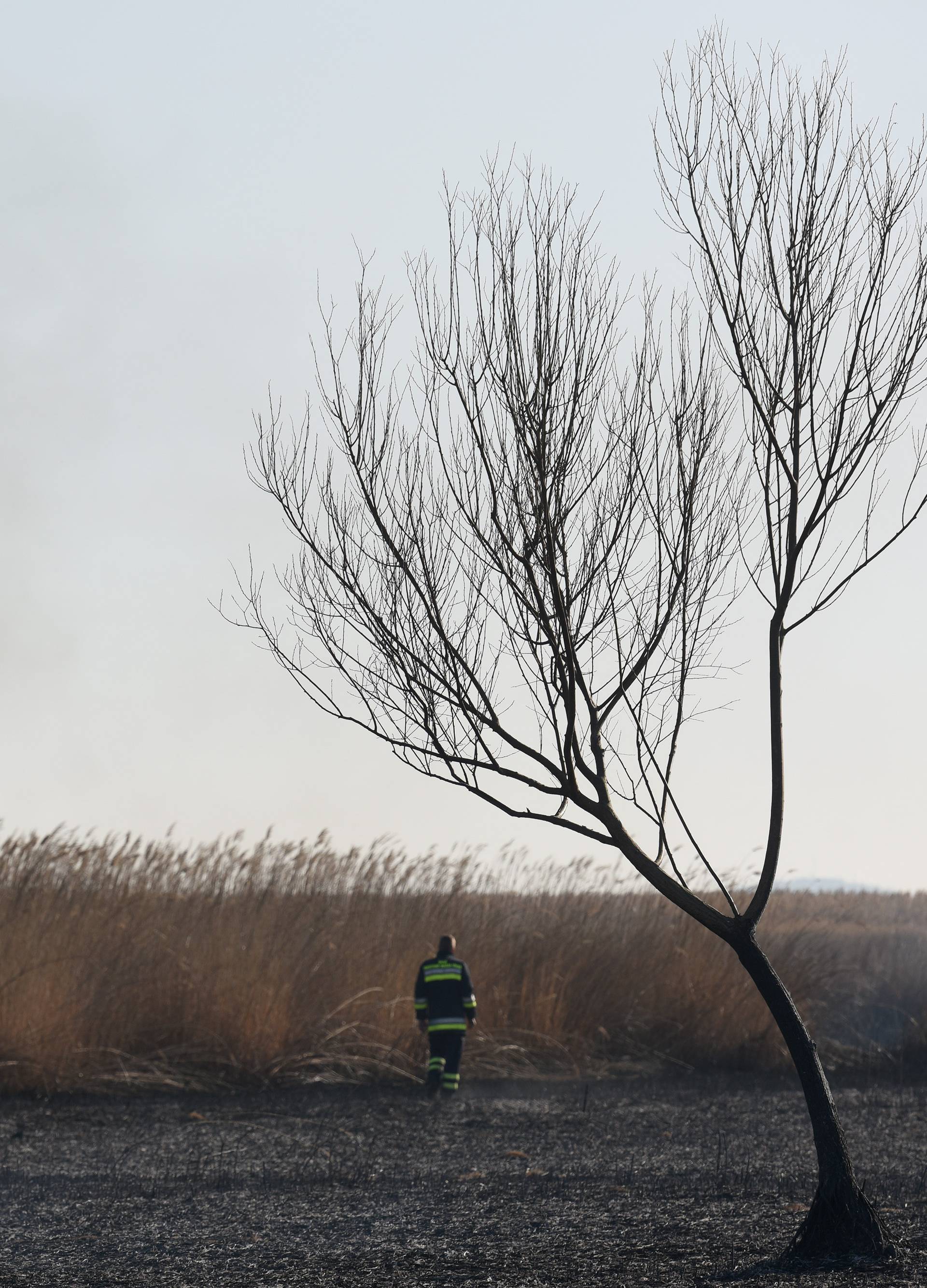 Požar na Vranskom jezeru: Izgorjelo samo 'srce' rezervata