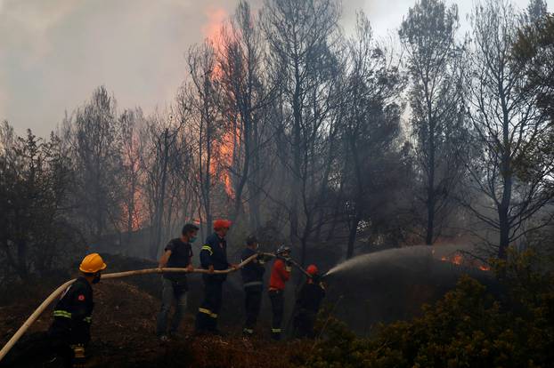 Wildfire erupts north of Athens