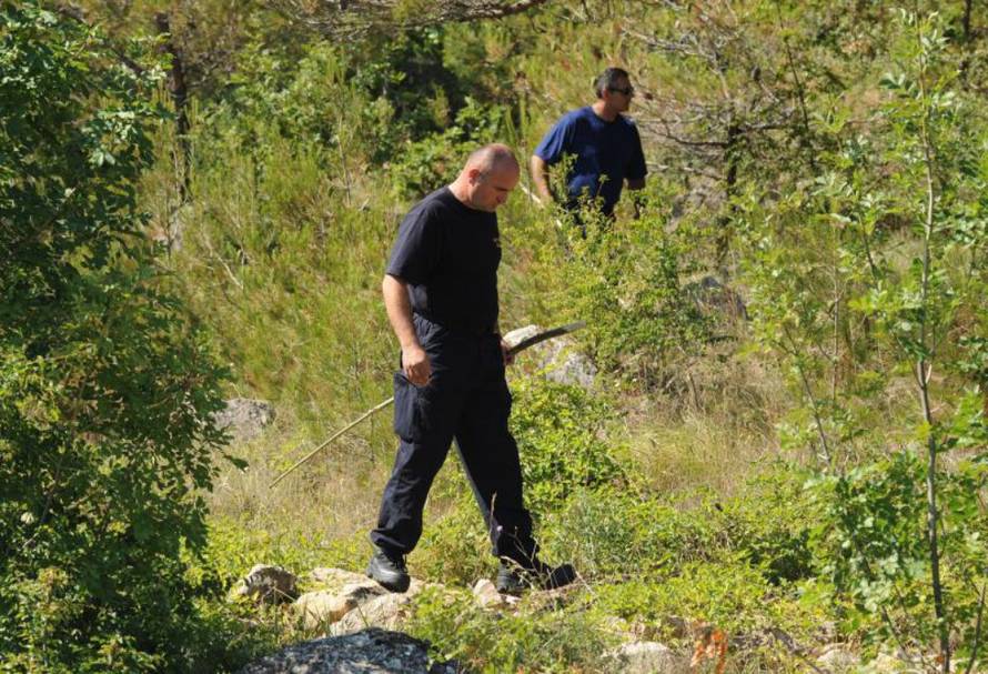 Hrvoje Jelavić/Pixsell