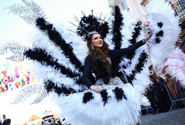 Samobor: Povorka mjesnih odbora i alegorijskih kola na Fašniku
