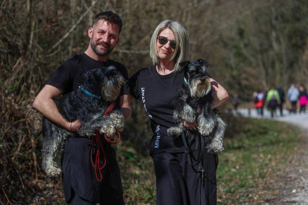 Žumberak: U organizaciji Miniature Schnauzers Croatia održano je druženje patuljastih šnaucera