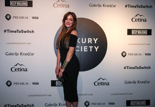 Predstavljanje portala/ kreativno-digitalne inovacije Luxurysociety.hr 