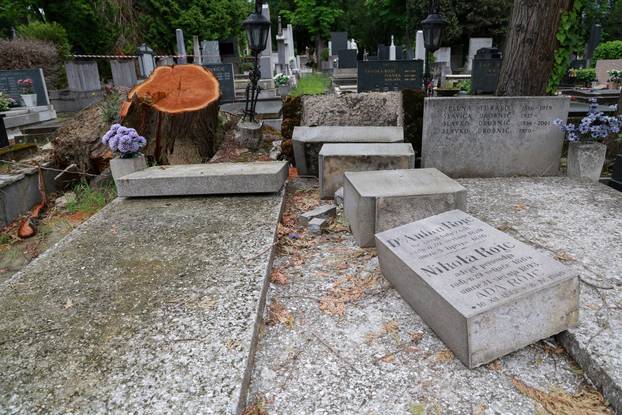 U oluji porušena stabla na Mirogoju napravila su veliku štetu