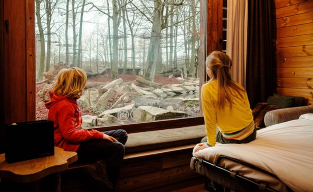 FOTO U Belgiji možete spavati u zoološkom: Evo koliko košta noć