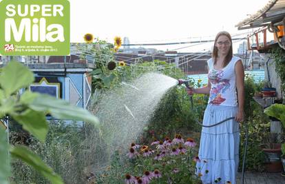 Urbani vrt: Zelena oaza nalazi se na krovu u središtu Zagreba