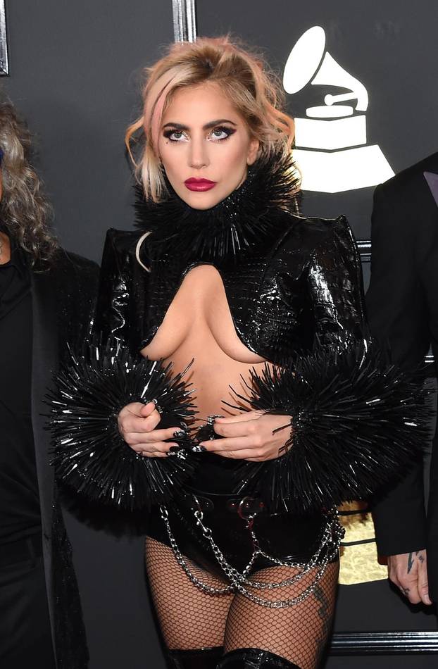 Los Angeles: Dolazak poznatih na dodjelu nagrada Grammy