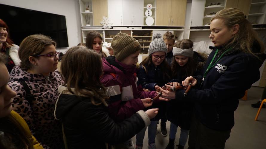 Božićno iznenađenje: Učenici iz Slavonije prvi put u Zoološkom