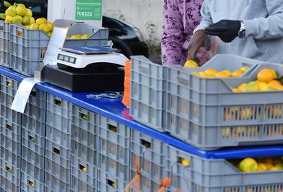 FOTO Mandarine u Šibeniku po 1,20 €! Znate li koliko je kura C vitamina koštala prije 5 godina?