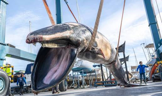 Tu&zcaron;an prizor: Golemi kit se nasukao u &scaron;panjolskoj marini! Le&scaron; od 6,5 tona izvukli dizalicom