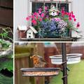 Top 20 ideja kako urediti kutak za ptice u vrtu ili na balkonu
