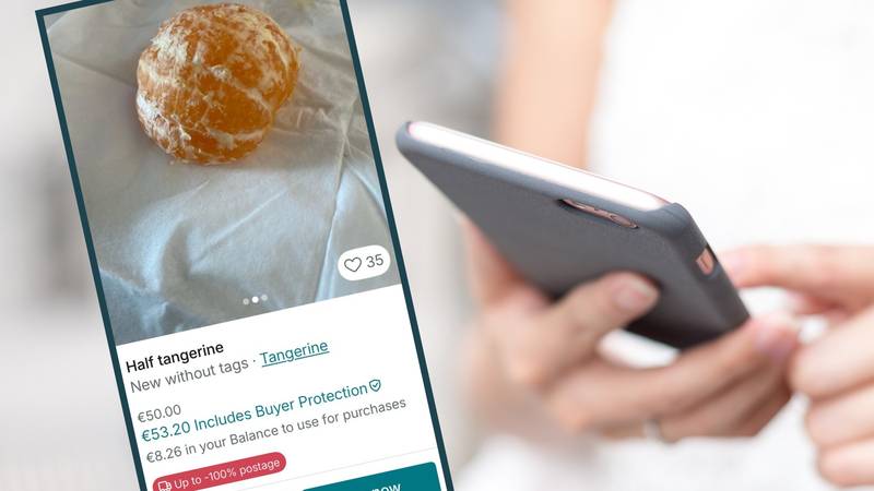 Netko na Vintedu prodaje pola mandarine za 50 eura! Ljudi pišu: 'Je l' može na rate?'