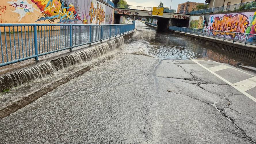 VIDEO Jako nevrijeme potopilo Slavonski Brod, vjetar rušio stabla. Grom zapalio pušnicu