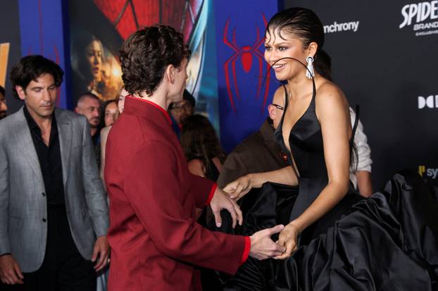 World premiere for the film Spider-Man: Brand New Day in Los Angeles