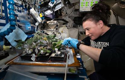 Stručnjaci upozorili: Svemirska salata mogla bi ubiti astronaute