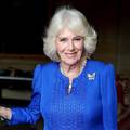 Kraljica Camilla za 79. ro&dstrok;endan dobila novi portret i najavila podjelu knjiga djeci diljem UK-a