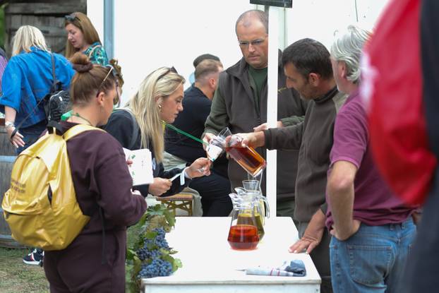 Zmajevac:  Vinski Bor maraton