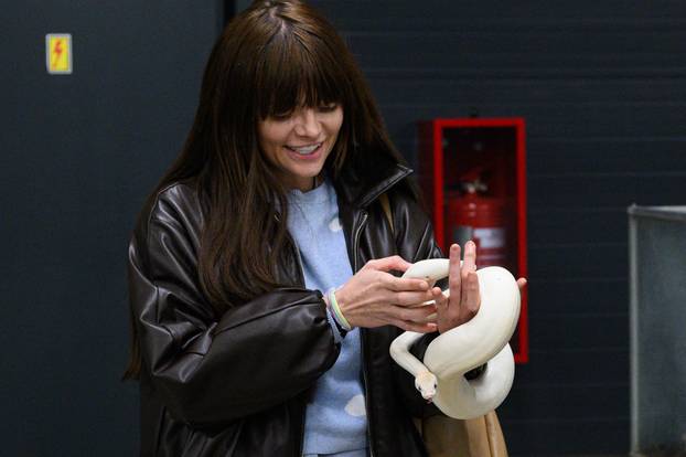 Zagreb: Izložba zmija, papiga, guštera i paukova u Family mallu