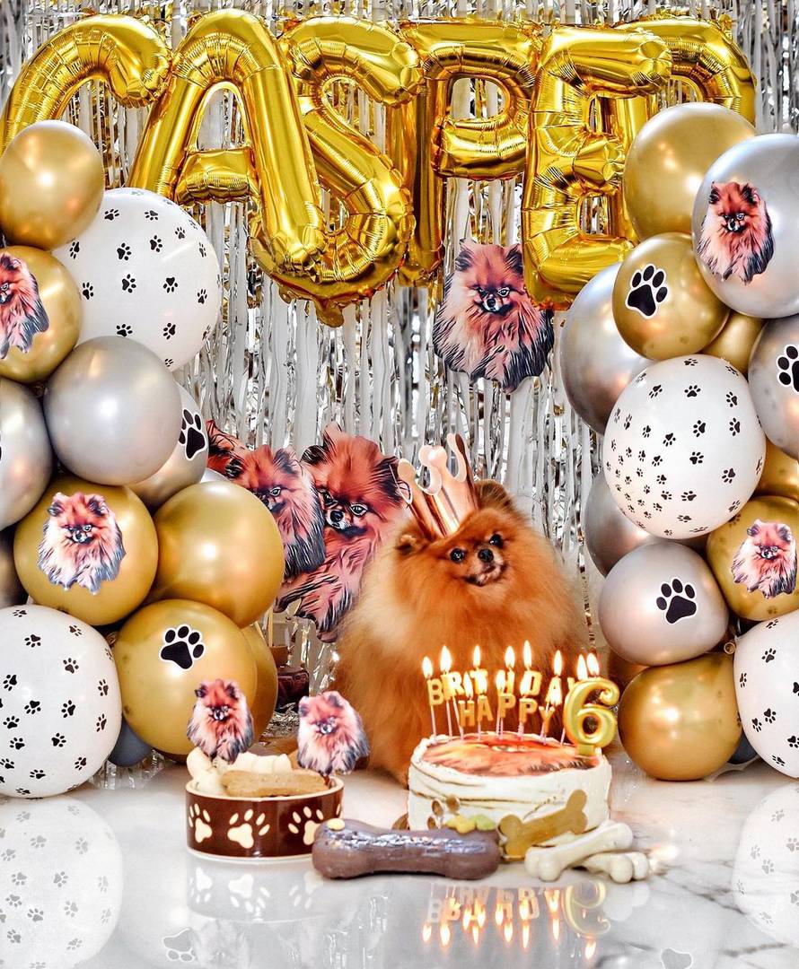 Grubnić priredio raskošni tulum psu: 'Nitko me nije volio toliko, sam Bog te poslao da me čuvaš'