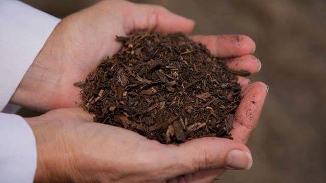 Kompostiranje ljudi: Od praha si nastao, u prah se pretvaraš