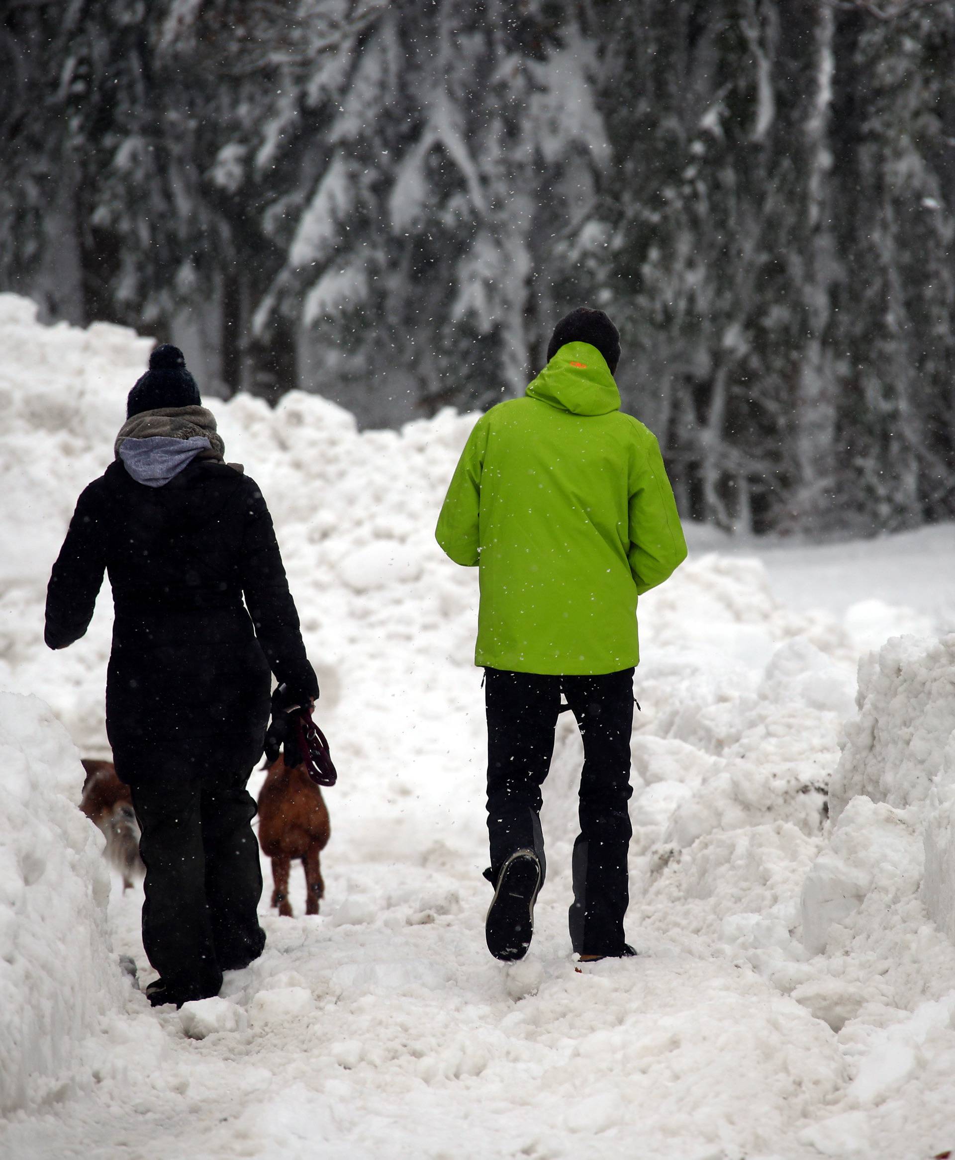 A couple walks their dogs on an icy road after heavy snowfall near Reitham