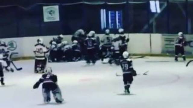 Makljaža u hokeju na ledu: Potukli su se desetogodišnjaci!