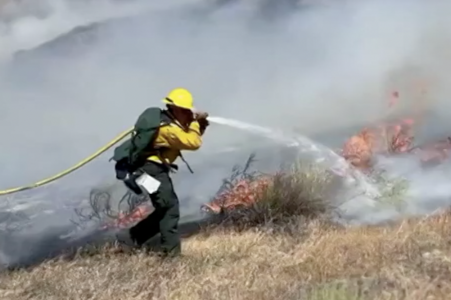 Vatrogasci se bore s divljim šumskim požarom u Kaliforniji