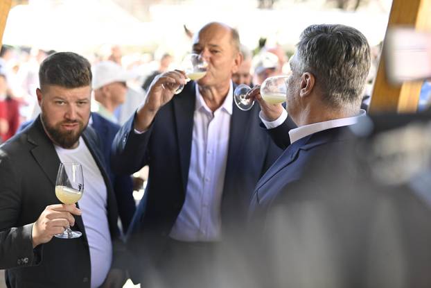 Kastav: Zoran Milanović na manifestaciji "Bela nedeja"