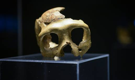 Lubanja C, najpoznatiji fosil krapinskog neandertalca, po prvi puta napu&scaron;ta Hrvatsku