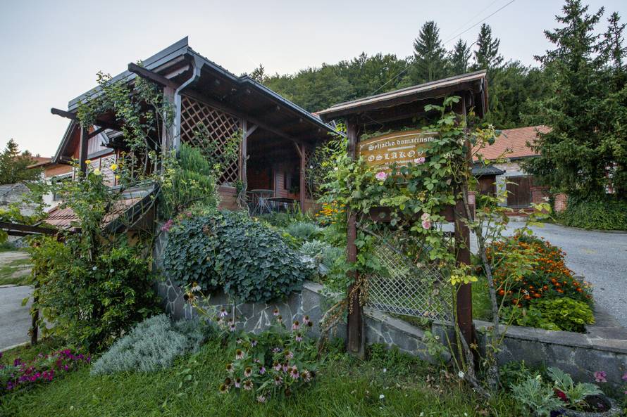 Ideja za savršen izlet: Posjetite Samoborsku vinsku cestu i Samoborski muzej