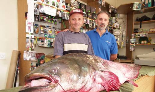 Na Dunavu ulovio soma kapitalca od čak 83,5 kg