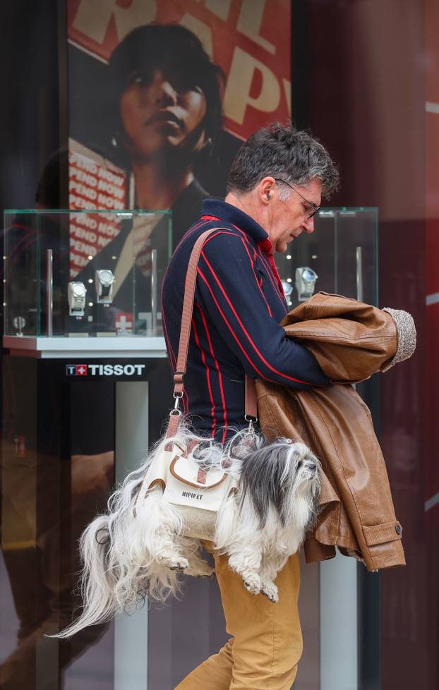 Zagreb: Pas poput modne torbice