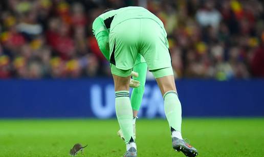 VIDEO Glodavac prekinuo utakmicu: Courtois nemoćan protiv neočekivanog 'driblera'