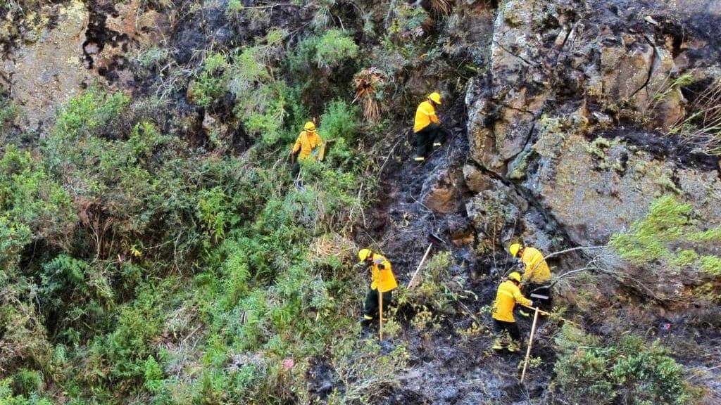 Emergency personnel work to put out a forest fire in Machu Picchu