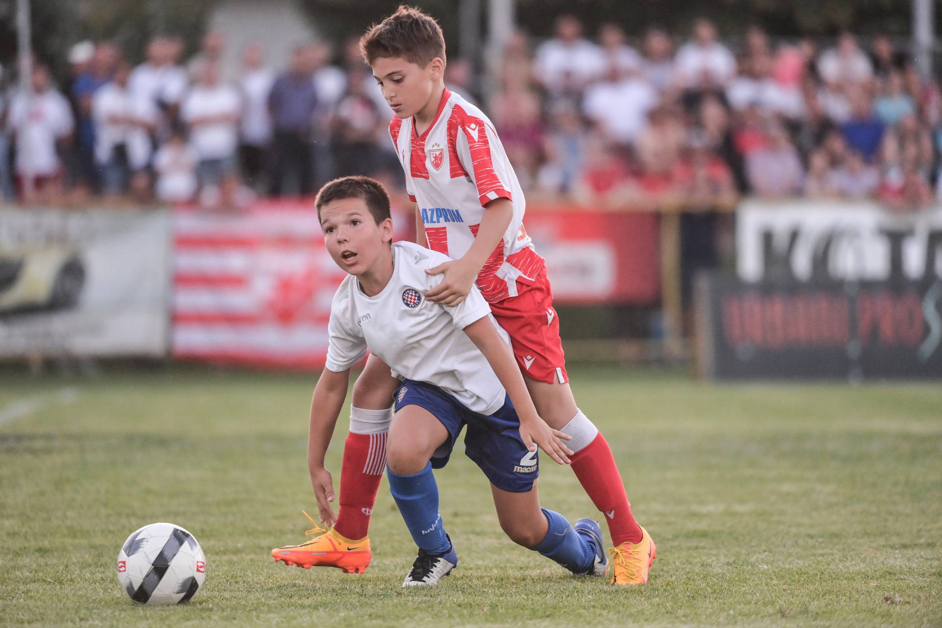 Velika Gorica: Alpas kup, finale nogometnog turnira za limače između Hajduka i Crvene zvezde