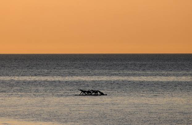 Marine heatwave pushes up Mediterranean Sea temperature