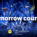 Lidl i Tomorrowland zapo&ccaron;inju strate&scaron;ko partnerstvo