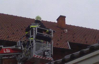 S krova kuće vatrogasci spasili nestašnog mačića