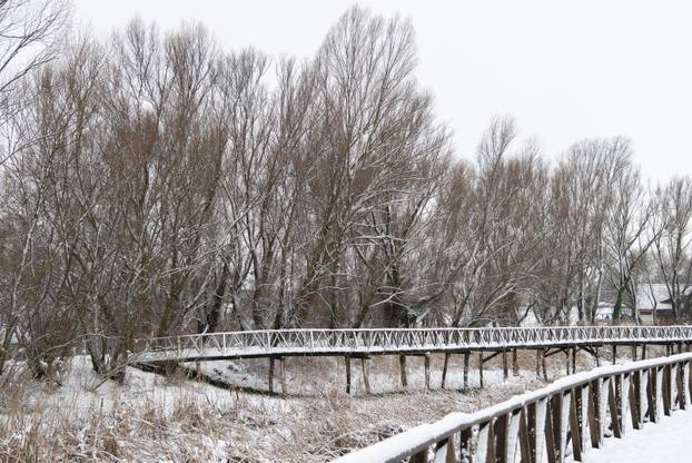 Kopački rit: Zimska idila u Baranji 