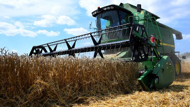 Brazil očekuje rekordnu žetvu pšenice u ovoj godini