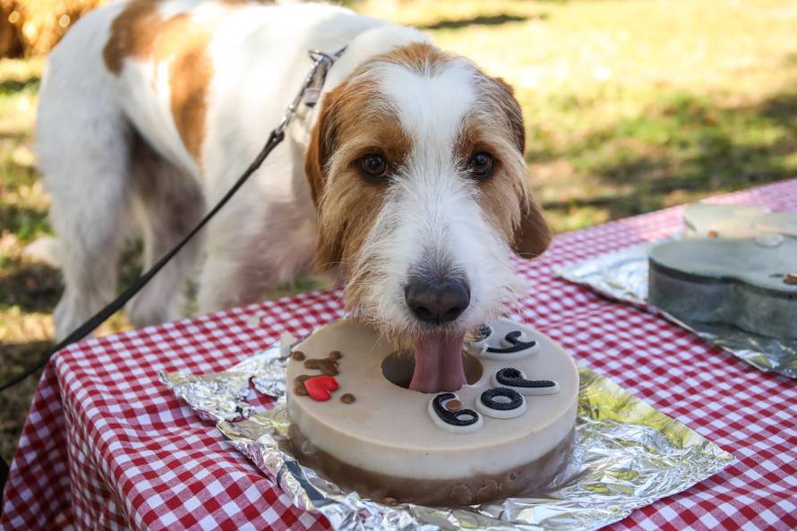 Zelene navike jednostavne su i pristupačne, podsjetili smo se na Ekotlonu i dobro se zabavili!