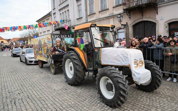 Velika povorka maskiranih grupa na 200. Samoborskom fašniku